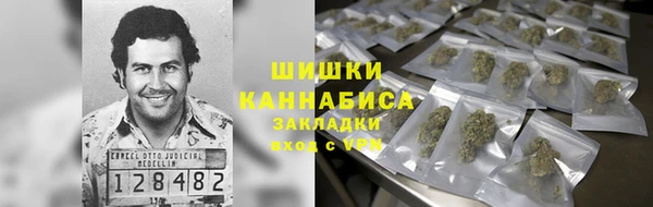 мдпв Надым