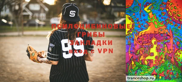 мдпв Надым
