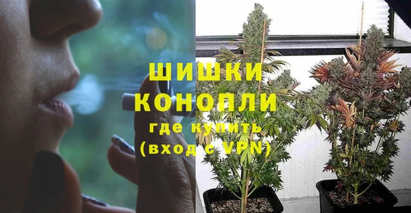 PSILOCYBIN Навашино