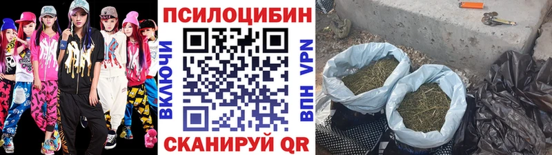 Галлюциногенные грибы мицелий  Подпорожье 